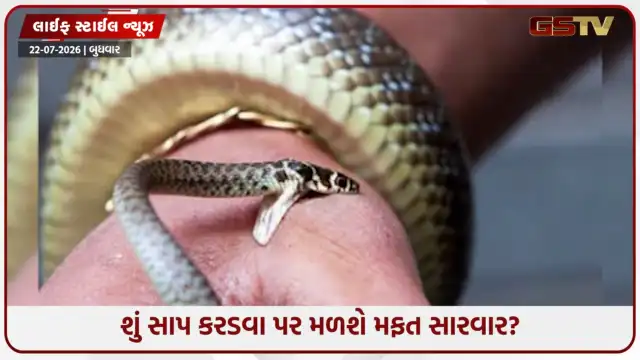 VIDEO: Health/ શું સાપ કરડવા પર મળશે મફત સારવાર? જાણી લો, સારવાર અને વળતરના નિયમો!