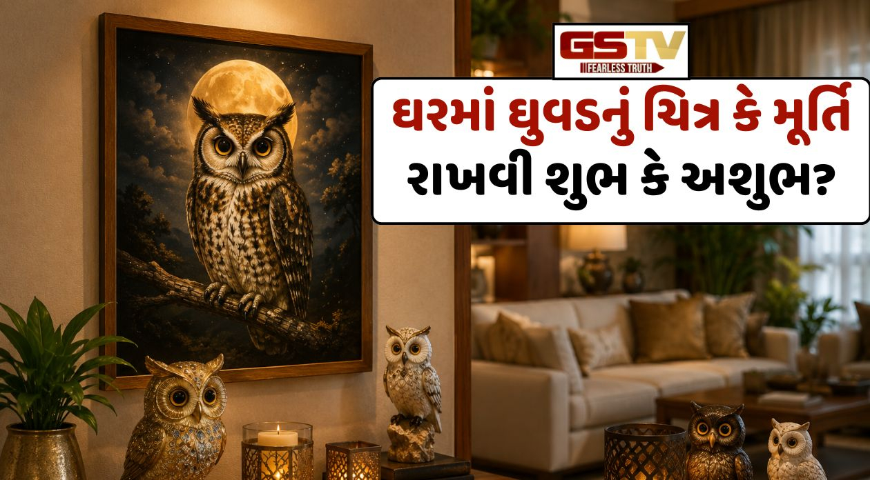 Vastu Tips / ઘરમાં ઘુવડનું ચિત્ર કે મૂર્તિ રાખવી શુભ કે અશુભ? જાણો વાસ્તુશાસ્ત્ર મુજબ સાચી દિશા અને તેના ફાયદા