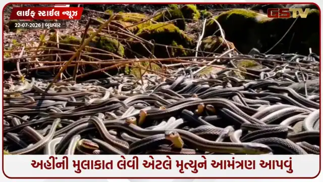 VIDEO: આ સ્થળોની મુલાકાત લેવી એ મૃત્યુને ભેટવા સમાન છે, અહીં જાણો તેમના નામ