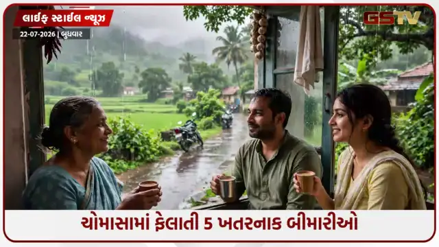 VIDEO: ચોમાસામાં ભૂલથી પણ ન કરો બેદરકારી! આ 5 રોગો બની શકે છે જીવલેણ