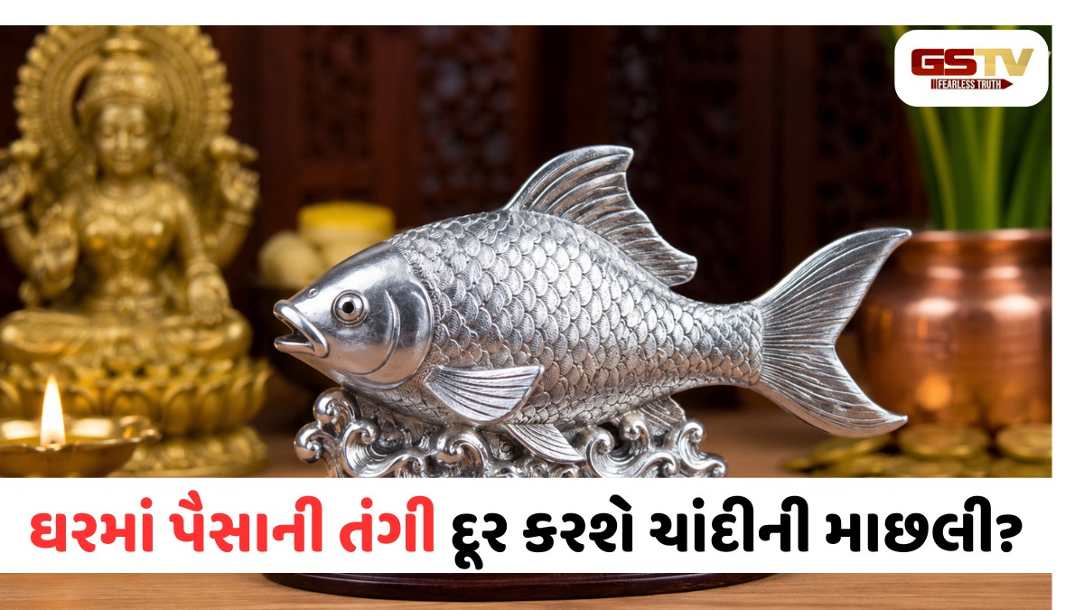 ઘરમાં ચાંદીની માછલી રાખવાથી ચમકશે નસીબ? જાણો શું કહે છે વાસ્તુશાસ્ત્ર!