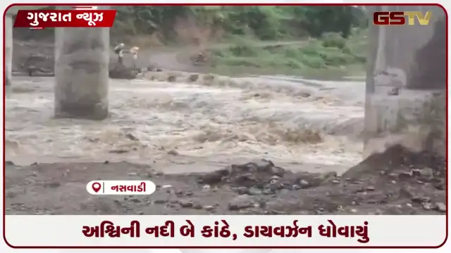 VIDEO: નસવાડીની અશ્વિની નદી બે કાંઠે, બ્રિજનું ડાયવર્ઝન ધોવાતા મુશ્કેલી