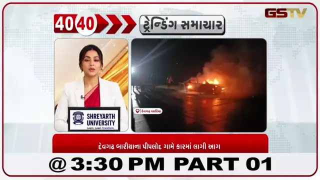 VIDEO: દાહોદના દેવગઢ બારીઆ તાલુકાના પીપલોદ ગામે કારમાં આગ લાગી હતી