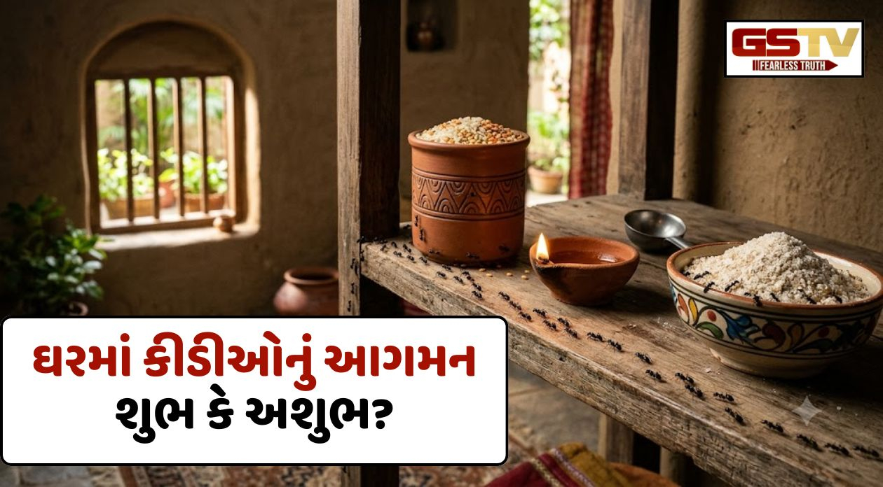Religion: ઘરમાં કીડીઓનું આગમન શુભ કે અશુભ? જાણો વાસ્તુશાસ્ત્ર શું કહે છે