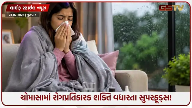 VIDEO: ચોમાસામાં ઈમ્યુનિટી વધારવા આ આહારનું કરો સેવન: બીમારીઓ સામે શરીરને આપો મજબૂત સુરક્ષા કવચ!