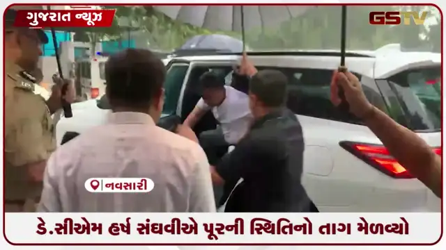 VIDEO: ડે.સીએમ હર્ષ સંઘવી પૂરની સ્થિતિનો તાગ મેળવ્યો