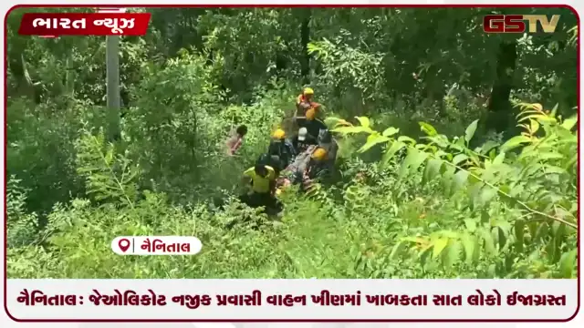 VIDEO: નૈનિતાલ: જેઓલિકોટ નજીક પ્રવાસી વાહન ખીણમાં ખાબકતા સાત લોકો ઈજાગ્રસ્ત