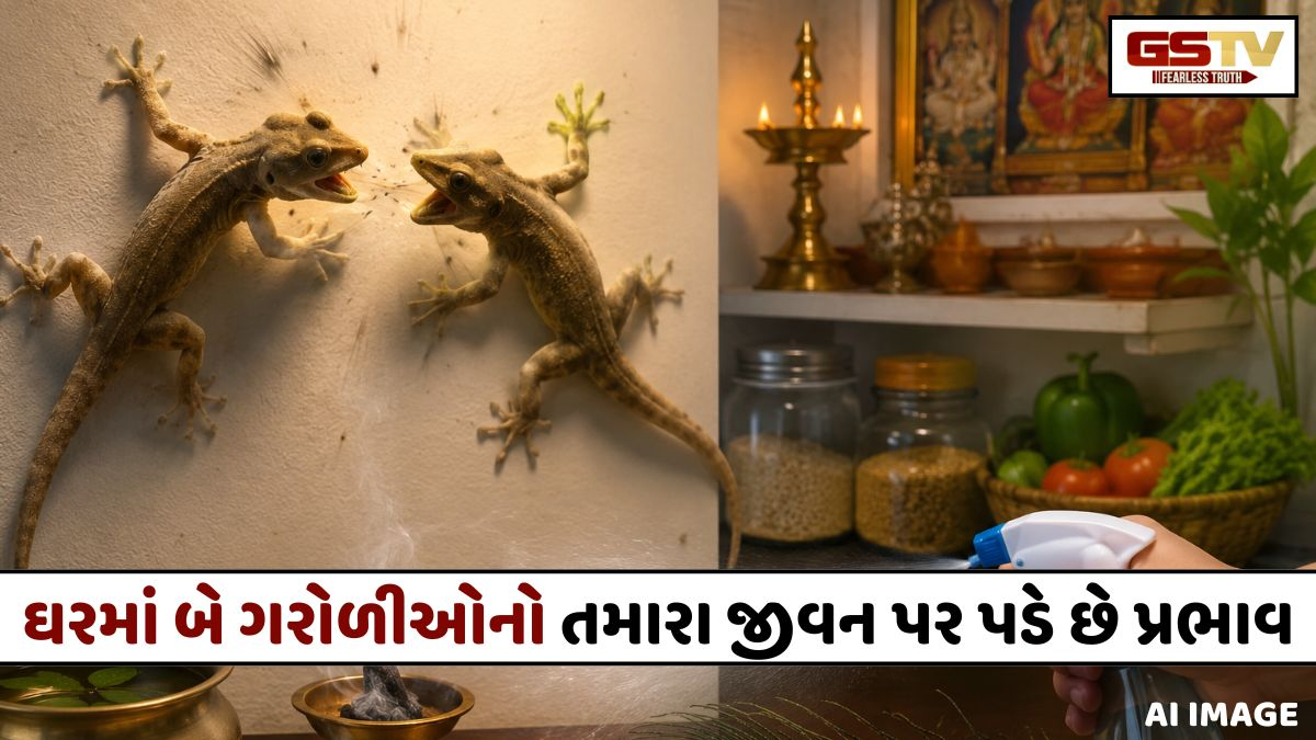 બે ગરોળીઓ લડતા જુઓ તો અવગણશો નહીં; તેનો અર્થ છે શગુન શાસ્ત્રમાં