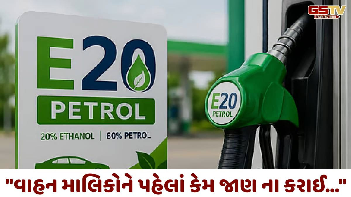 "વાહન માલિકોને પહેલાં કેમ જાણ ના કરાઈ..." E20 પેટ્રોલથી માઇલેજ ઘટવાનો વિવાદ પહોંચ્યો સંસદીય સમિતિમાં!