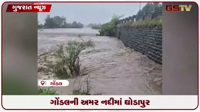 VIDEO: ગોંડલના લીલાખા ગામે અમર નદીમાં ઘોડાપૂર: રાજકોટ જિલ્લા ભાજપ પ્રમુખે સ્થળની મુલાકાત લીધી