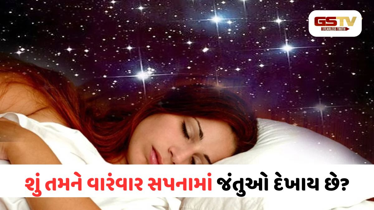 સપનામાં જીવજંતુ કે કીડા-મકોડા દેખાવાનો શું છે અર્થ? આ સંકેતોને ભૂલથી પણ ન અવગણો!