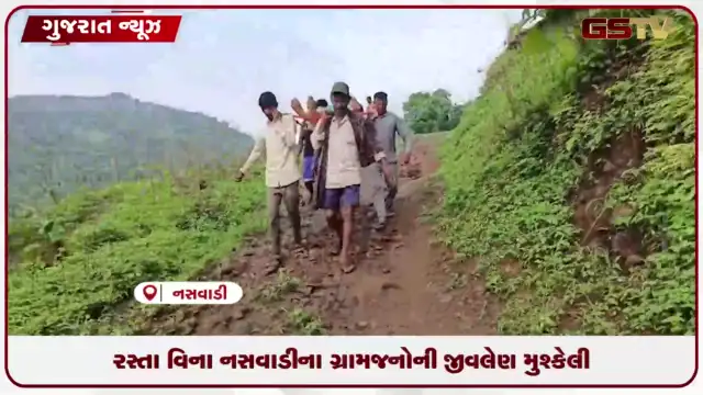 VIDEO: નસવાડીમાં રસ્તાના અભાવે સાપદંશ પીડિત મહિલાને સ્ટ્રેચરે ત્રણ કિલોમીટર ખસેડાઈ