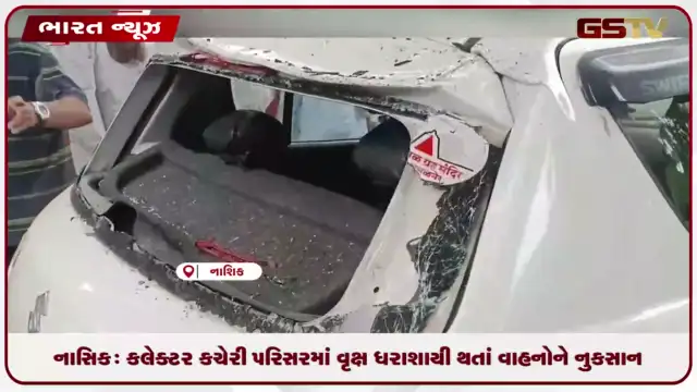 VIDEO: નાસિક: કલેક્ટર કચેરી પરિસરમાં વૃક્ષ ધરાશાયી થતાં વાહનોને નુકસાન