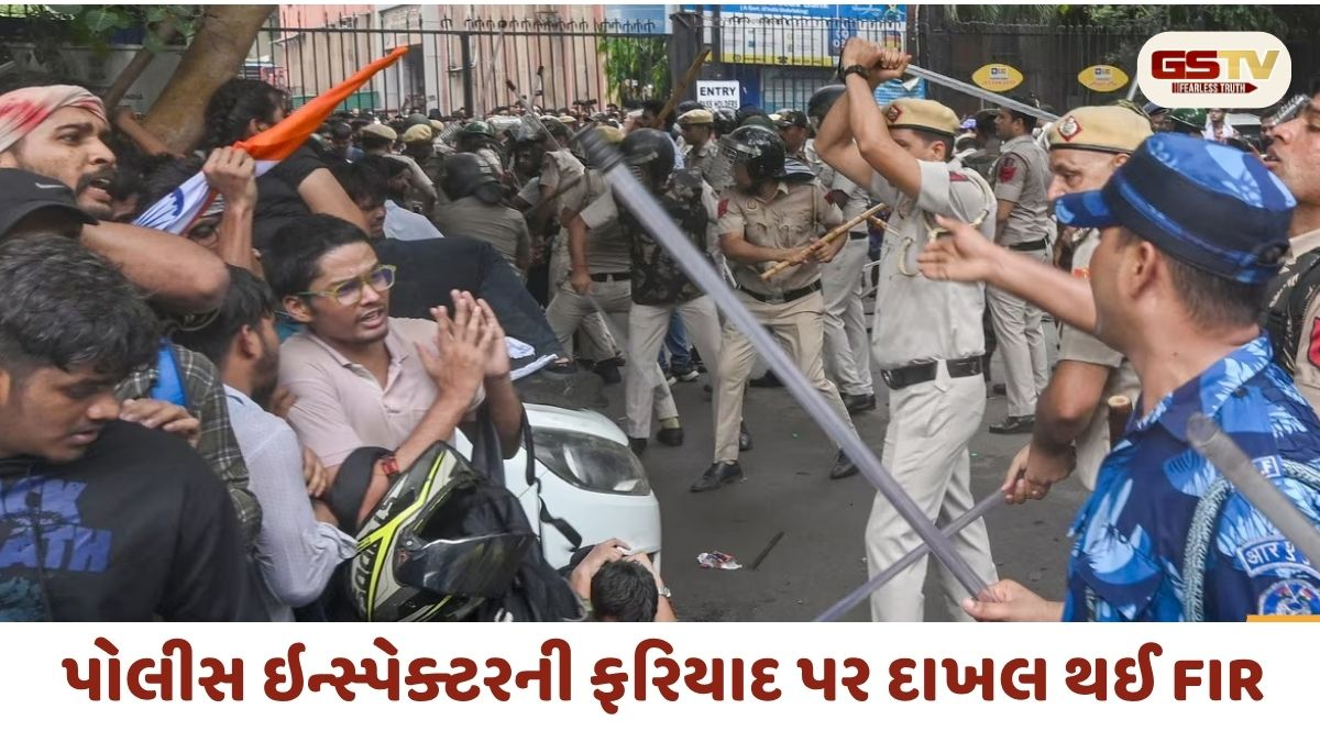સંસદ નજીક થયેલી હિંસા મામલે FIR: હત્યાના પ્રયાસ સહિત BNS ની 13 ગંભીર કલમો દાખલ