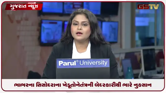 VIDEO: ભાભરના સિસોદરાના ખેડૂતોને તંત્રની બેદરકારીથી ભારે નુકસાન, 4 હજાર કટ્ટા મગફળીનો પાક સંપૂર્ણપણે બરબાદ થઈ ગયો!