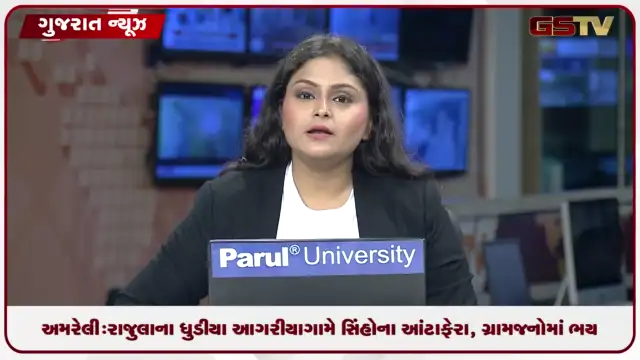 VIDEO: અમરેલી: રાજુલાના ધુડીયા આગરીયા ગામે સિંહોના આંટાફેરા, ગ્રામજનોમાં ભય