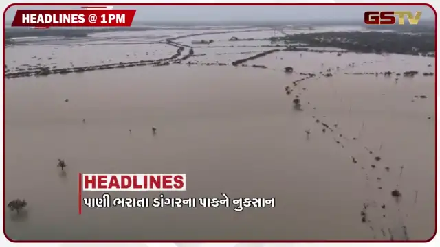 VIDEO: HEADLINE 01.00 PM / પાણી ભરાતા ડાંગરના પાકને નુકસાન, મેયર બન્યા લોકોના રોષનો ભોગ