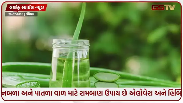 VIDEO: નબળા અને પાતળા વાળ માટે રામબાણ ઉપાય છે એલોવેરા અને હિબિસ્કસ તેલ, જાણો તેને બનાવવા અને ઉપયોગ કરવાની રીત