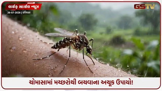 VIDEO: મચ્છરોનો કાળ બનશે આ ઘરેલું નુસખા! ચોમાસામાં પરિવારને રાખો સુરક્ષિત!