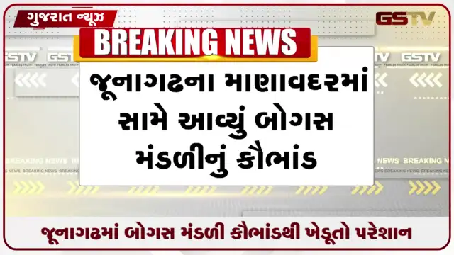 VIDEO: જૂનાગઢમાં બોગસ મંડળી કૌભાંડથી ખેડૂતો પરેશાન, માણાવદરના ગ્રામજનો પહોંચ્યા કલેક્ટર કચેરી