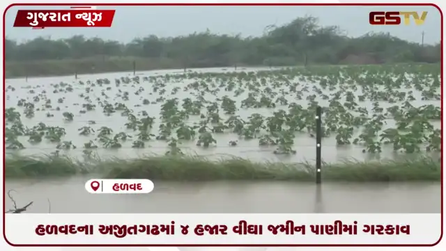 VIDEO: હળવદના અજીતગઢમાં 4 હજાર વીઘા જમીન પાણીમાં ગરકાવ
