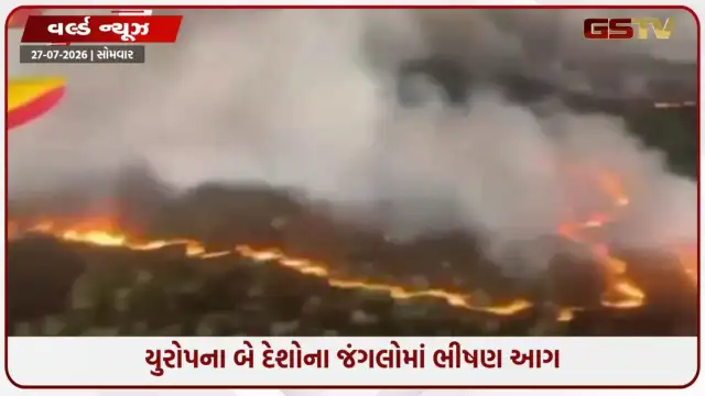 VIDEO: યુરોપના બે દેશોના જંગલોમાં લાગી ભીષણ આગ, સ્પેને દેશના ઇતિહાસમાં પહેલીવાર જાહેર કરી નેશનલ વાઇલ્ડફાયર ઇમરજન્સી