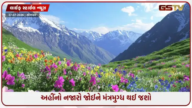 VIDEO: Travel Place / ઓગસ્ટમાં ખીલી ઉઠે છે ફૂલોની ખીણ, આ વર્ષે ફરવાનો પ્લાન બનાવો