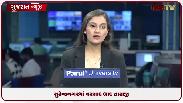 VIDEO: સુરેન્દ્રનગરમાં વરસાદી આફત: ૨૩૬ મકાનો ધરાશાયી અને ૧૦૦થી વધુ ગામો સંપર્કવિહોણા
