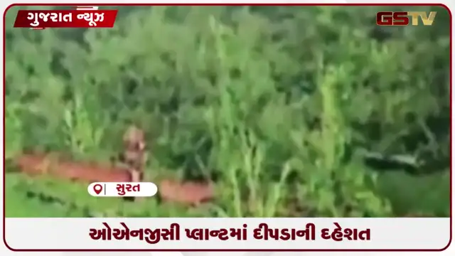 VIDEO: સુરતના હજીરા ONGC પ્લાન્ટમાં દીપડાના ધામા