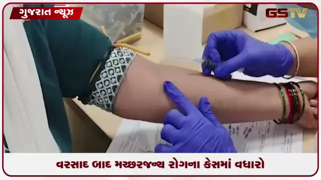 VIDEO: અમદાવાદમાં મચ્છરજન્ય અને પાણીજન્ય રોગચાળો વકર્યો
