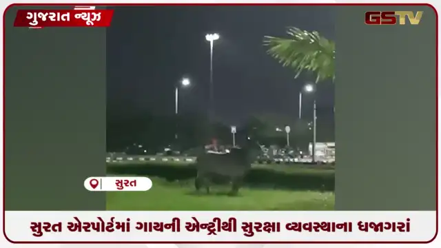 VIDEO: સુરત એરપોર્ટમાં ગાયની એન્ટ્રીથી સુરક્ષા વ્યવસ્થાના ધજાગરાં