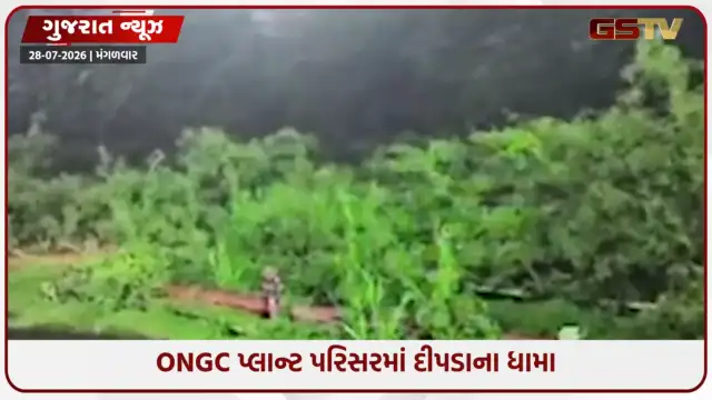 VIDEO: Surat / હજીરા ONGC પ્લાન્ટ પરિસરમાં દીપડો દેખાતાં વનવિભાગ દોડતું થયું