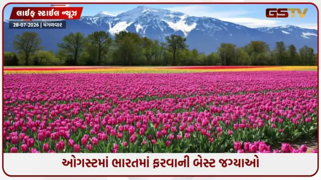 VIDEO: Travel Places / ઓગસ્ટમાં ભારતના આ સ્થળોની લો મુલાકાત, તમને મળશે અનોખો અનુભવ