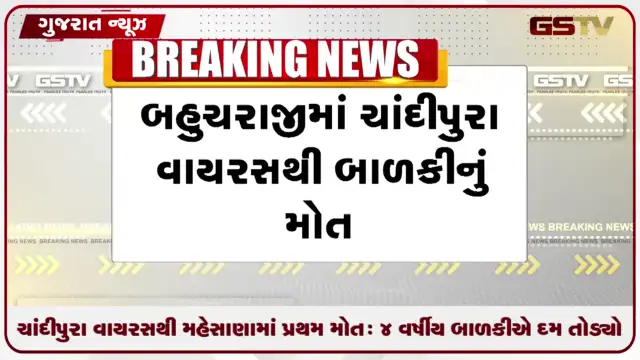 VIDEO: ચાંદીપુરા વાયરસથી મહેસાણામાં પ્રથમ મોત: 4 વર્ષીય બાળકીએ દમ તોડ્યો
