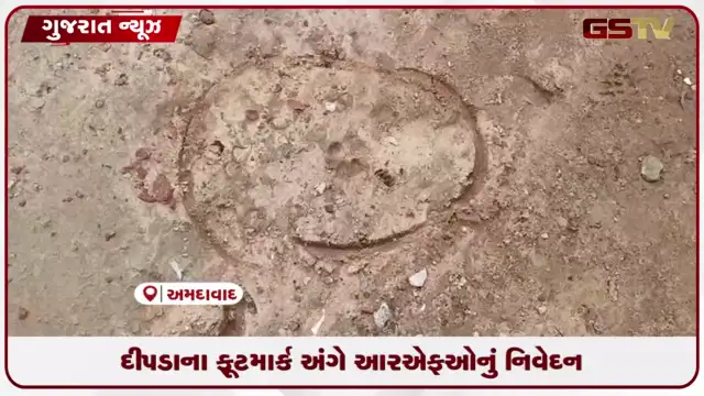 VIDEO: વન વિભાગની સ્પષ્ટતા દીપડાની અફવા ખોટી