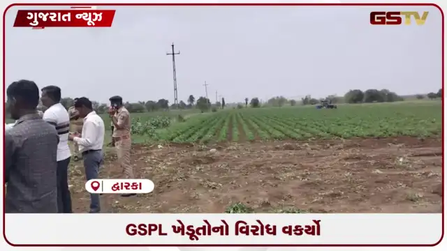 VIDEO: દ્વારકા જિલ્લામાં GSPL સામે ખેડૂતોનો વિરોધ વકર્યો...વળતર ચૂકવ્યાં વગર કંપની દ્વારા ઉભા પાકમાં જેસીબી મશીન ચલાવાતા વિરોધ