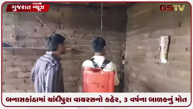 VIDEO: બનાસકાંઠામાં ચાંદીપુરા વાયરસનો કહેર, ૩ વર્ષના બાળકનું મોત