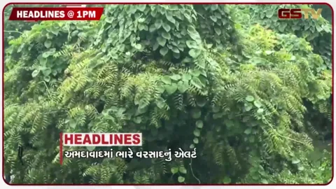 VIDEO: HEADLINE_1.00 PM /  અમદાવાદમાં ભારે વરસાદનું એલર્ટ, ચાંદીપુરાથી વધુ એક મોત