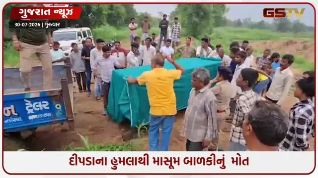 VIDEO: Chhota Udaipur / દીપડાના હુમલાથી માસૂમ બાળકીનું  મોત; ગણતરીની કલાકોમાં જ પાંજરે પૂરાયો