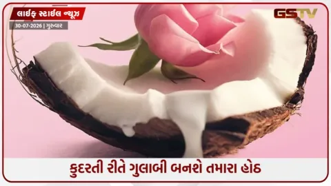 VIDEO: ગુલાબની પાંખડીઓનો ઉપયોગ કરીને ઘરે જ બનાવો કુદરતી લિપ બામ, હોઠને રાખશે નરમ