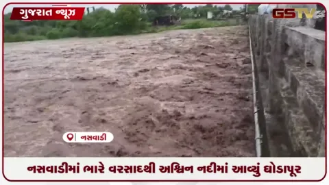 VIDEO: નસવાડીની અશ્વિન નદીમાં ભારે વરસાદ અને ઉપરવાસના પાણીથી આવ્યું ભયાનક ઘોડાપૂર