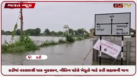 VIDEO: કડીમાં વરસાદથી પાક નુકસાન, નીતિન પટેલે ખેડૂતો માટે કરી સહાયની માંગ