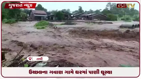 VIDEO: તાપી જિલ્લામાં રેડ એલર્ટ વચ્ચે વરસાદથી ઉચ્છલના ગવાણ ગામમાં પાણી ભરાયા