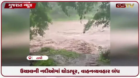 VIDEO: તાપીના ઉચ્છલમાં ધોધમાર વરસાદથી નદીઓમાં ઘોડાપૂર, પુલ પર પાણી ફરી વળ્યા