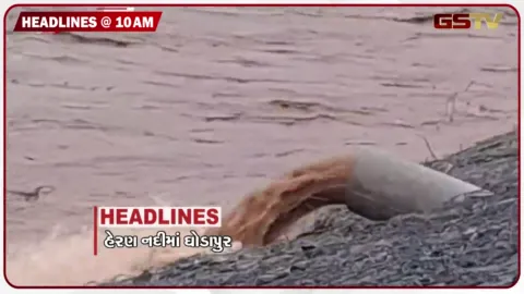 VIDEO: HEADLINE 10: 00 AM/ રાજવાસણા ગામેથી પસાર થતી હેરણ નદીમાં ઘોડાપુર, RTOની ગંભીર બેદરકારી ઉજાગર
