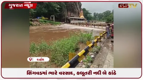 VIDEO: દાહોદના સિગવડમાં ભારે વરસાદથી કબૂતરી નદી બે કાંઠે વહી, રણધીકપુર માર્ગ બંધ