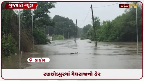 VIDEO: ડાકોરમાં ભારે વરસાદથી રણછોડપુરા ગામ સંપર્કવિહોણું,શરૂ થયો સેવાયજ્ઞ