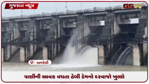 VIDEO: અમરેલીના ઠેબી ડેમમાં પાણી આવતા એક દરવાજો ખોલાયો