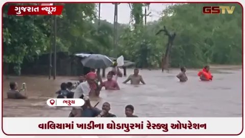 VIDEO: વાલિયામાં ખાડીના ઘોડાપુરમાં રેસ્ક્યુ ઓપરેશન