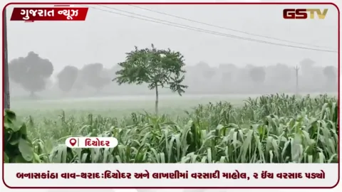 VIDEO: બનાસકાંઠા વાવ-થરાદ: દિયોદર અને લાખણીમાં વરસાદી માહોલ, 2 ઈંચ વરસાદ પડ્યો